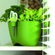 Ghiveci de flori cu foarfeca, Prosperplast, Verde