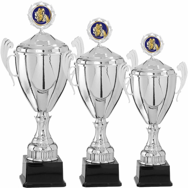 Set 3 Cupe Echitatie cu Capac, Metal, Plastic, 58, 53, 50 cm