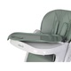 Scaun de masa 2 in 1 pentru copii Colibro Noto, cu pozitie de somn, reglabil pe inaltime, pliabil, Agava