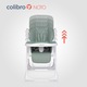 Scaun de masa 2 in 1 pentru copii Colibro Noto, cu pozitie de somn, reglabil pe inaltime, pliabil, Agava