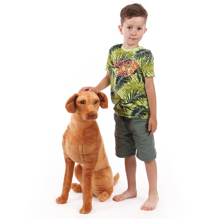 Alex - plüss magyar vizsla