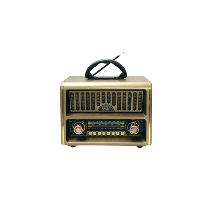 Boxa portabila RDB 2030BT, functii multiple, radio FM/AM/SW, bluetooth, stereo, Auriu