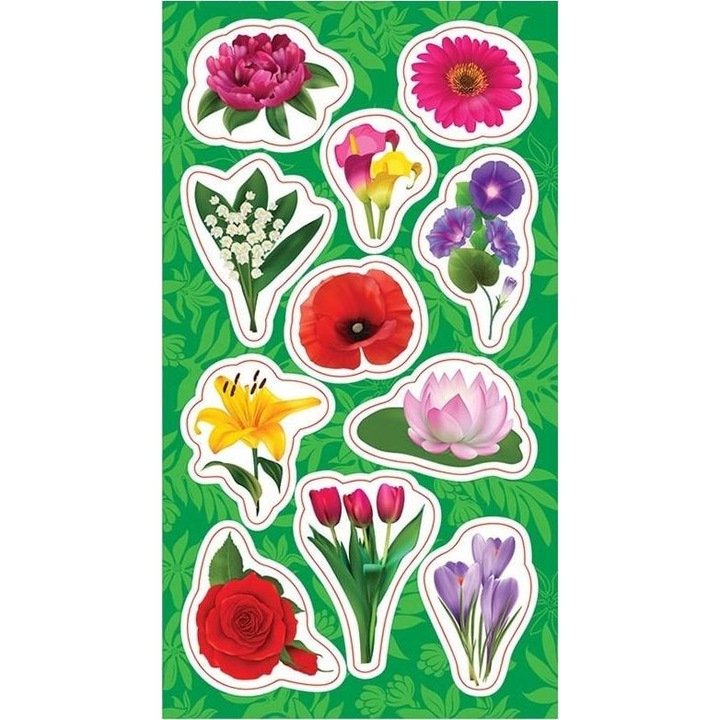 Virágos matricák, Ranok, többszínű