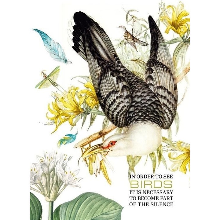 Caiet, Fresh, Multicolor