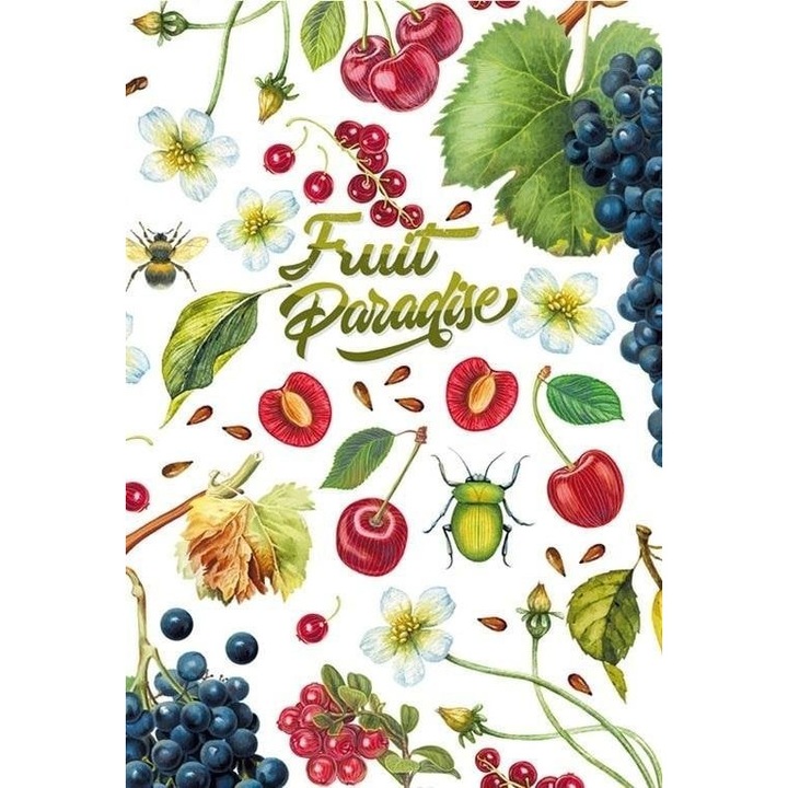 Caiet dictando, Fresh, 128 x 165 mm, 64 coli, Multicolor