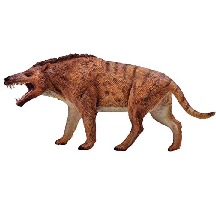 Figurina, Collecta, Model Dinozaur Andrewsarchus, Plastic, +3ani, Maro