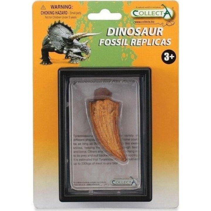 Фигурка Collecta, Зъб на динозавър, Бежово