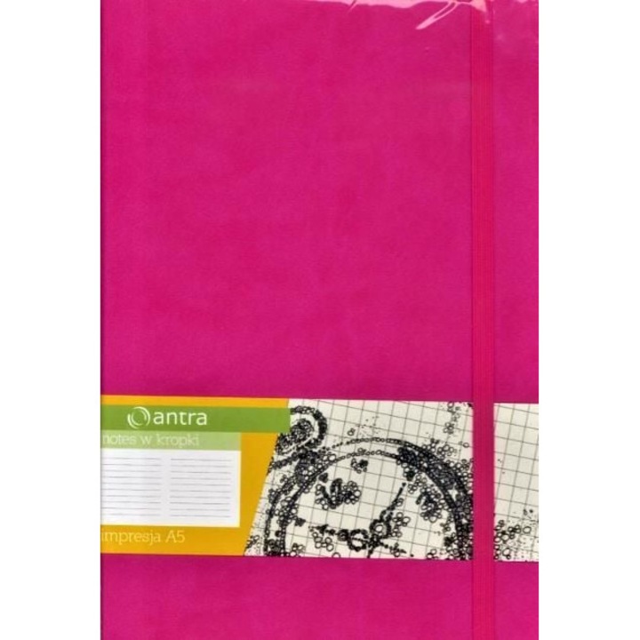 Caiet, Antra, A5, 192coli, Roz