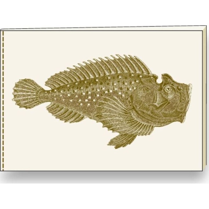 Füzet, Rossi, A5, Bézs