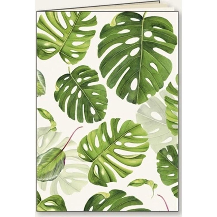 Caiet liniat, Tassotti, Liniat, 48 coli, A5, Multicolor