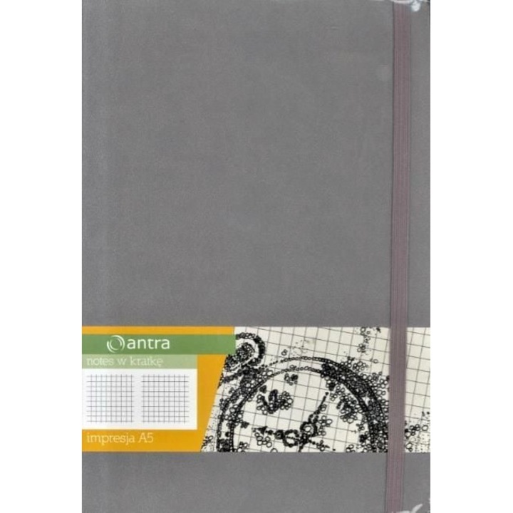 Agenda, Antra, A5, Gri