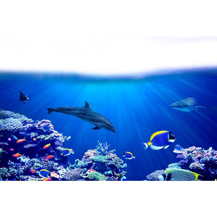 PVC öntapadó tapéta - Dolphins And Life In The Ocean 6, 100 x 150 cm