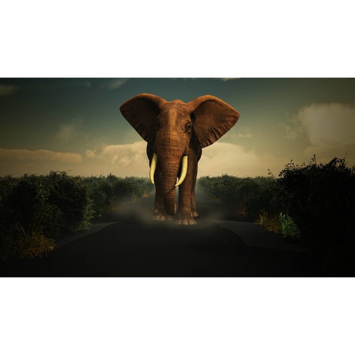 PVC öntapadó tapéta - Elefánt, 100 x 150 cm