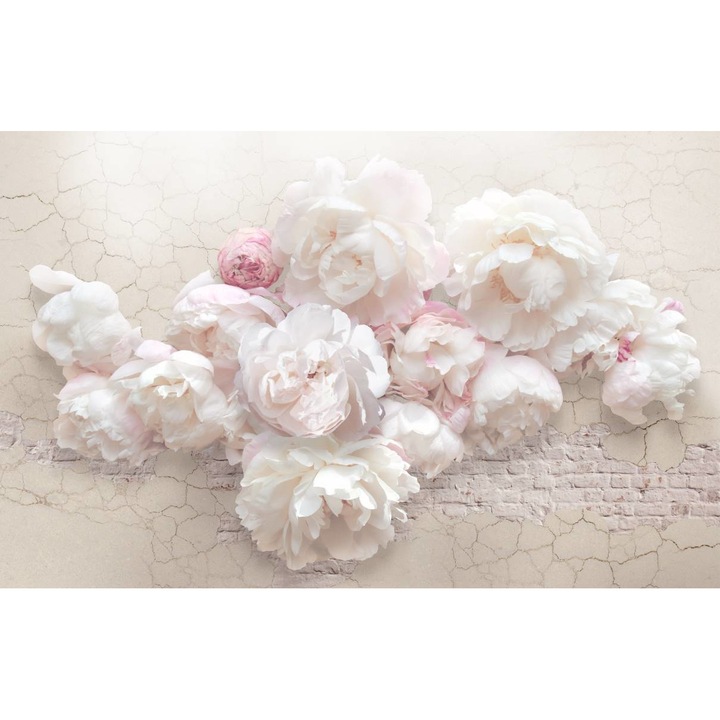 Öntapadó PVC tapéta - Fehér bazsarózsa 2, 100 x 150 cm