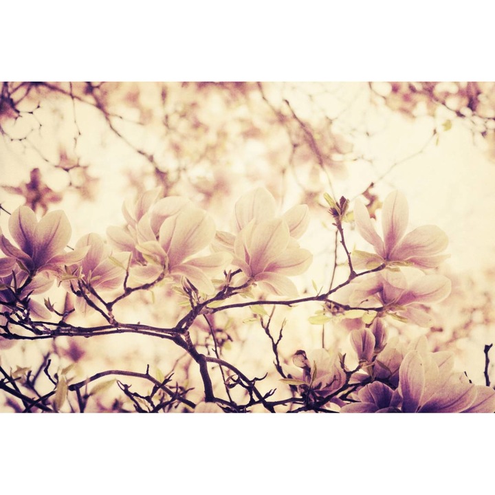 Öntapadó PVC tapéta - Magnolia Tree, 100 x 150 cm