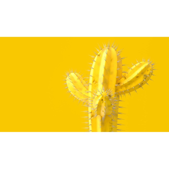 Öntapadó PVC tapéta - Cactus Yellow, 100 x 150 cm