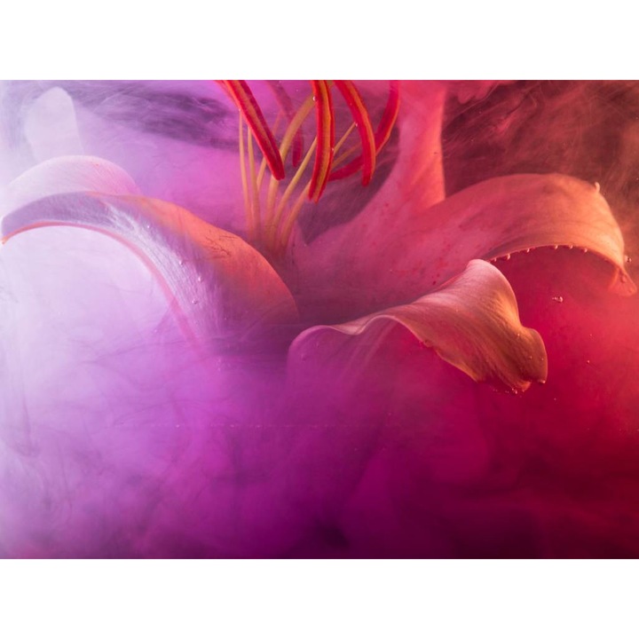 Öntapadó PVC tapéta - Színes liliom, 100 x 150 cm