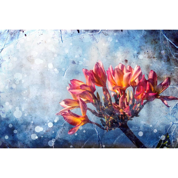 Öntapadó PVC tapéta - Narancsvirág, 100 x 150 cm