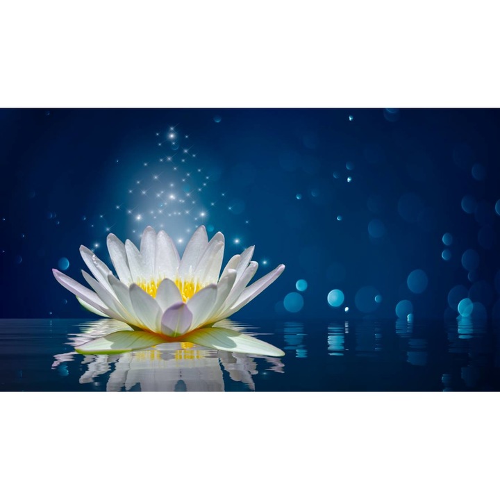 PVC öntapadó tapéta - Tavirózsa virág, 100 x 150 cm