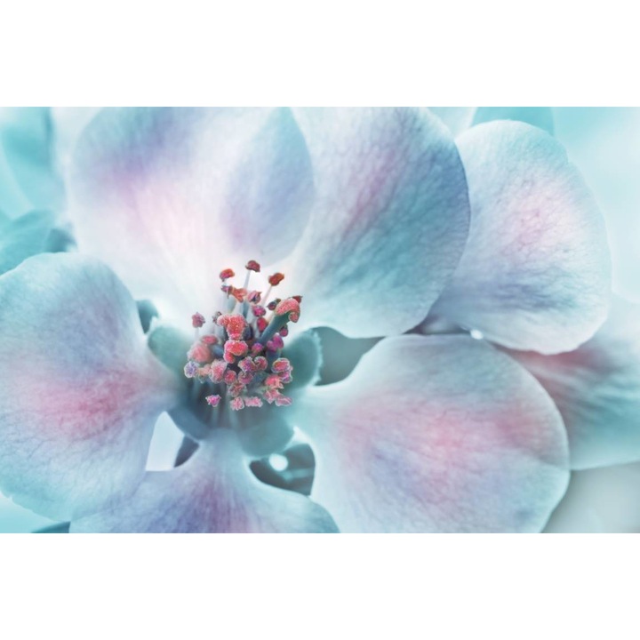 Öntapadó PVC tapéta - Kék virág, 100 x 150 cm