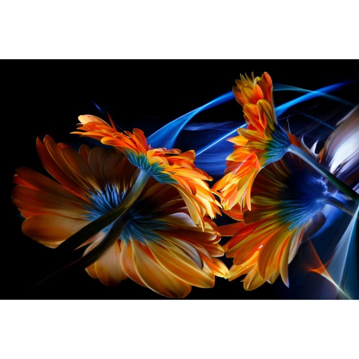 PVC öntapadó tapéta - Sárga virágok és absztrakt hullámok, 100 x 150 cm