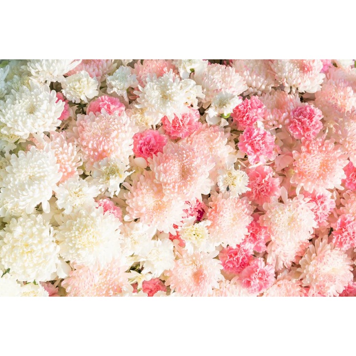 Öntapadó PVC tapéta - Pink and White Flowers, 100 x 150 cm