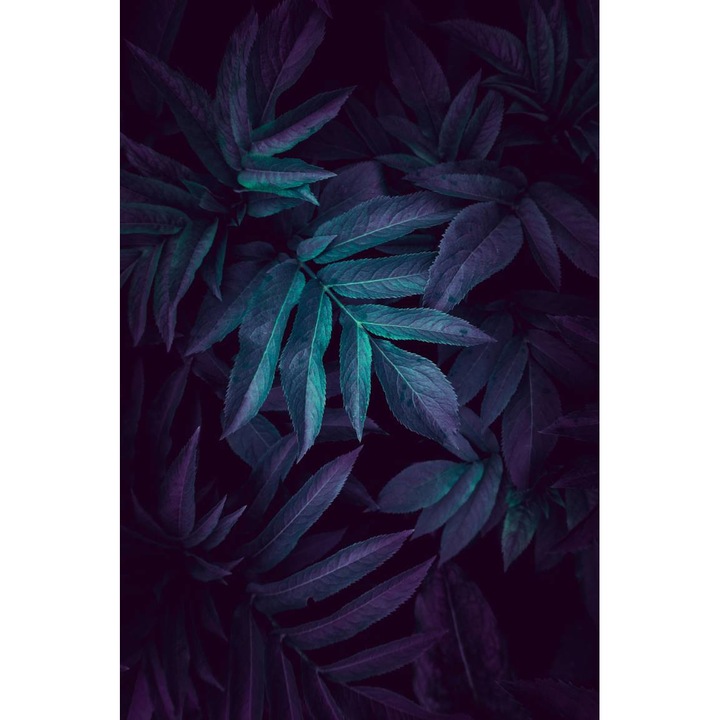 Öntapadó PVC tapéta - Levelek 2, 100 x 150 cm