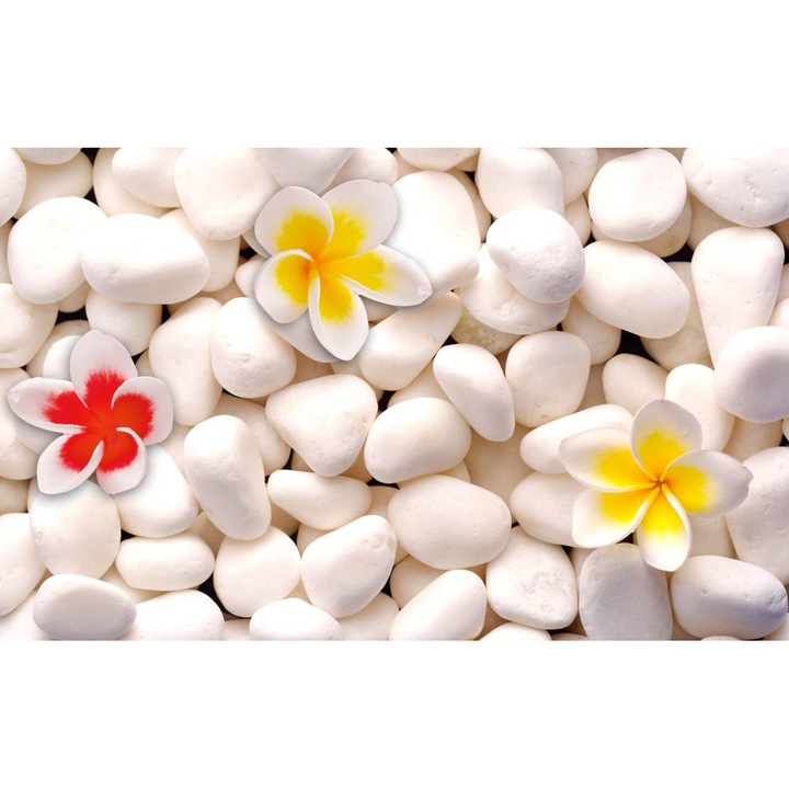 Tablou Canvas - Flori Si Pietre Albe, 30x40 cm