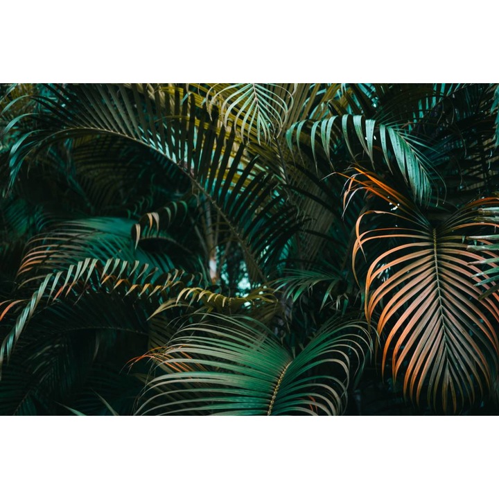 Öntapadó PVC tapéta - Zöld levelek 6, 100 x 150 cm