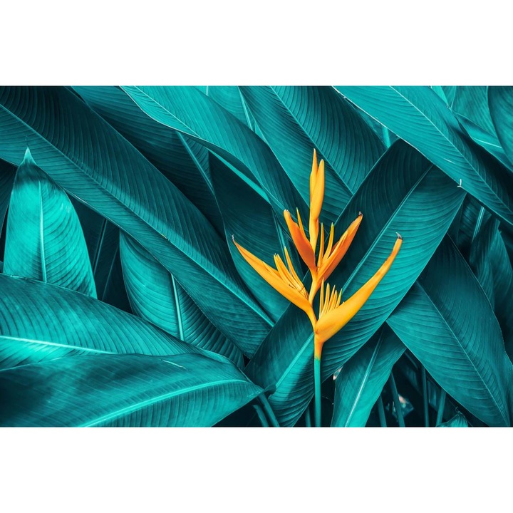 Öntapadó PVC tapéta - Yellow Heliconia among Leaves, 100 x 150 cm