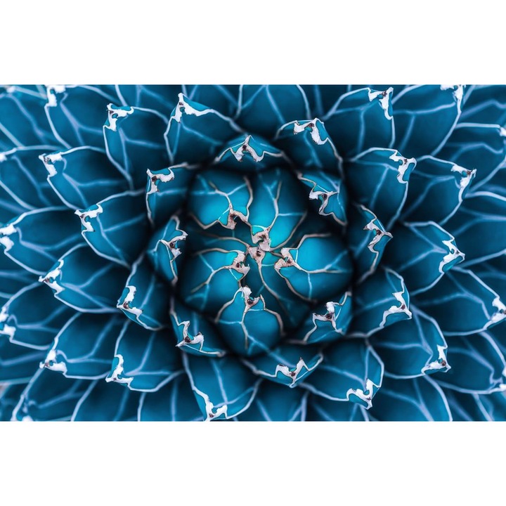 Öntapadó PVC tapéta - Blue Petals, 100 x 150 cm