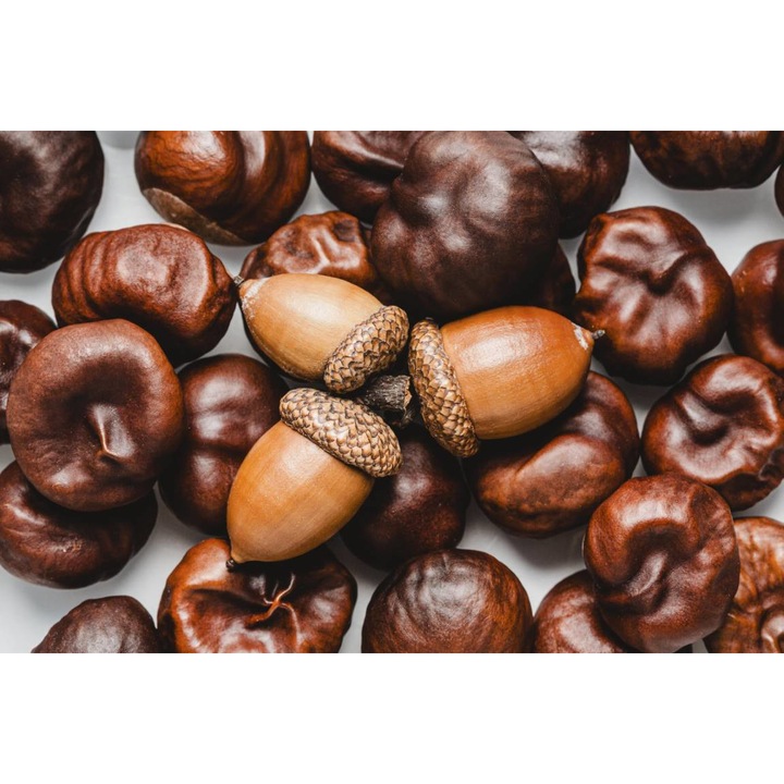 PVC öntapadó tapéta - Egy csomó gesztenye, 100 x 150 cm