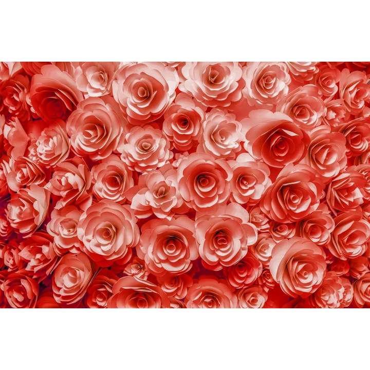 Sticker - Trandafiri Roz 2, 130x80 cm