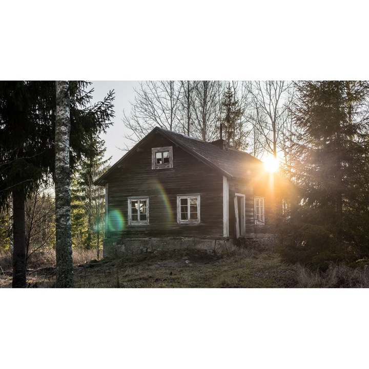 PVC öntapadós tapéta - Kabin a fák között, 100 x 150 cm