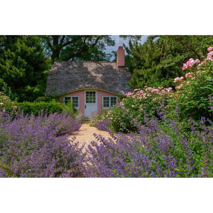 Öntapadó PVC tapéta - House In The Lavender Garden, 100 x 150 cm
