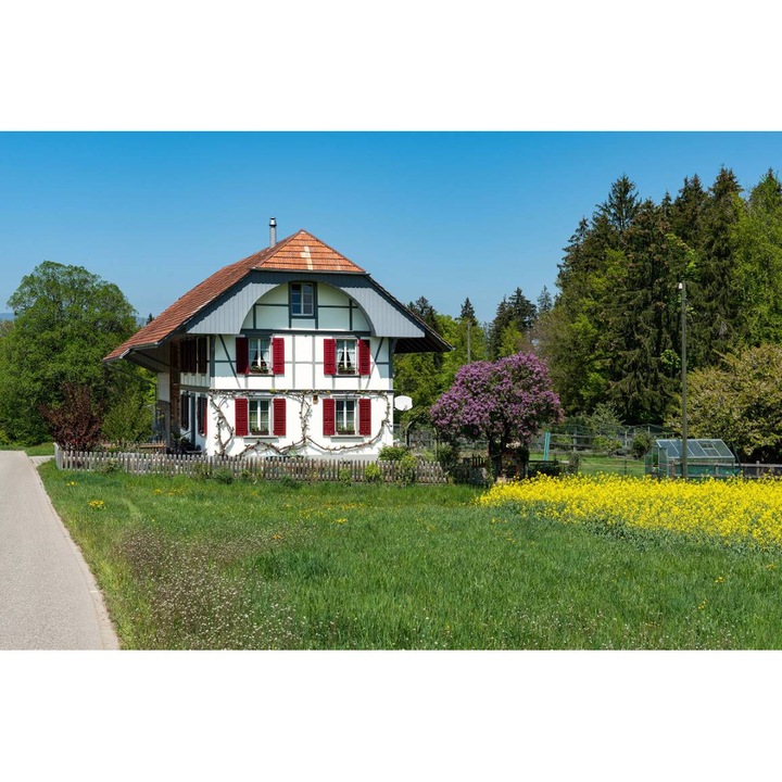 Öntapadó PVC tapéta - Swiss Cottage, 100 x 150 cm