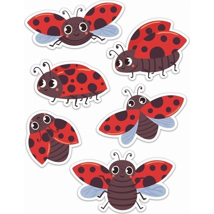 Dekoratív matricák készlete, LearnHow, Katicabogarak, Piros/Barna, 6 db