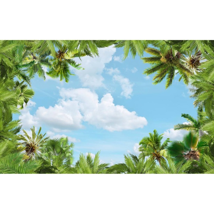 PVC öntapadó tapéta - Pálmafák és a kék ég, 100 x 150 cm