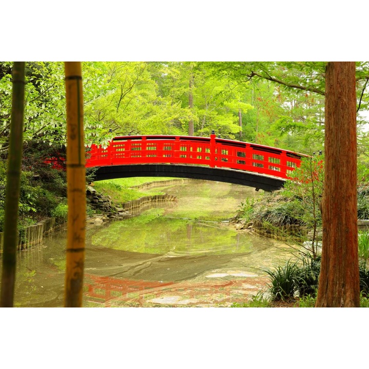 Öntapadó PVC tapéta - Red Bridge In The Forest, 100 x 150 cm