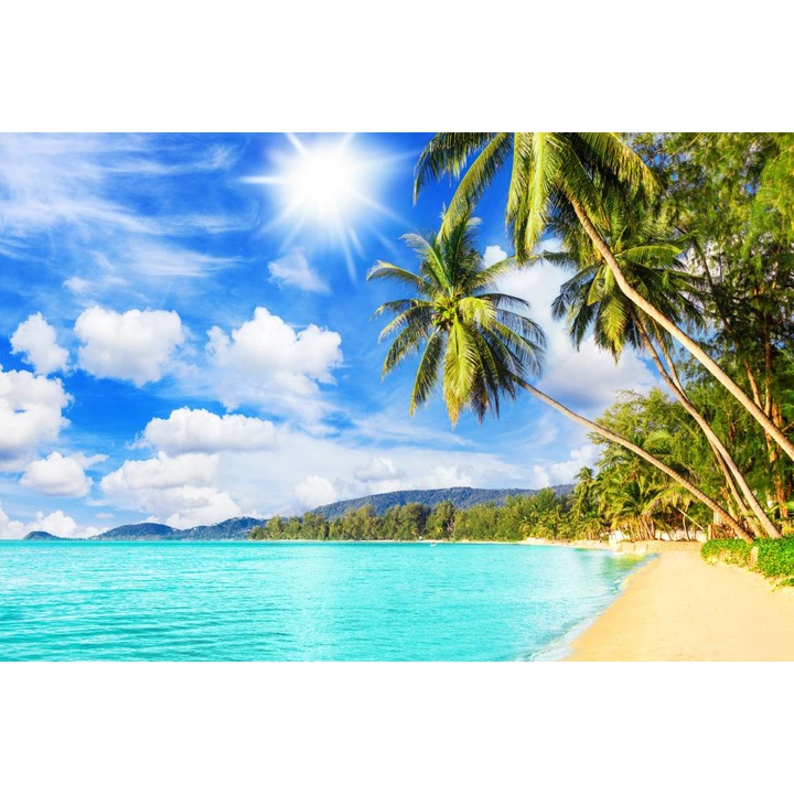 PVC öntapadós tapéta - Sunny Beach with Palm Trees, 100 x 150 cm