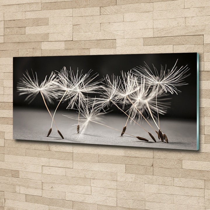 Tablou pe sticla. Tulup. Imagine imprimata sticla. Seminte de papadie. Dimensiune: 125 cm x 50 cm. Gri. 79359171