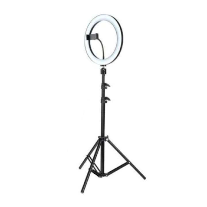 Ring Light kör alakú lámpa, 120 x LED SMD, átmérő 26 cm/10 hüvelyk, 10 fokozatú fény (hideg, meleg és semleges fény) Fotóvideó Smink 210 cm-es állvánnyal, SanHome®