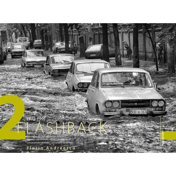 Flashback 2 - Florin Andreescu