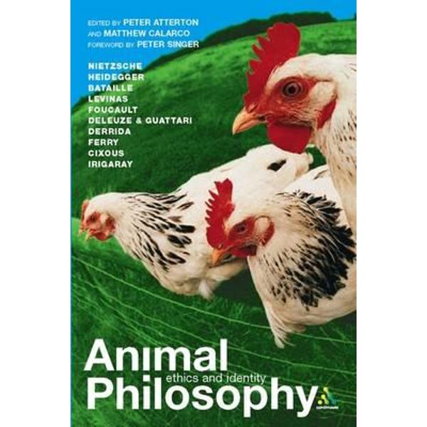 Animal Philosophy