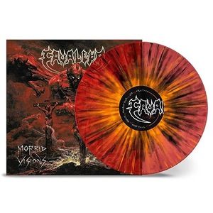 Vinyl-uri si cd-uri muzica