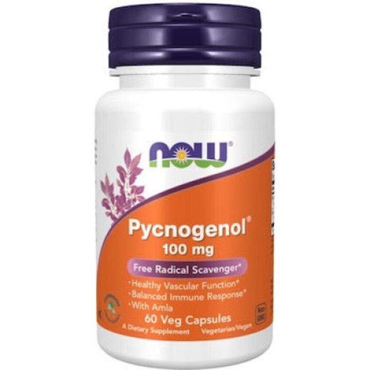 Pycnogenol (Pinus Pinaster) 100 mg, Now Foods, 60 capsule