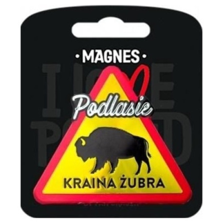 Декоративен магнит, Pan Dragon, Podlasie Kraina zubra, Многоцветен