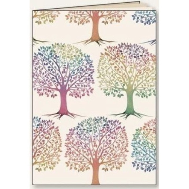 Agenda, Tassotti, Multicolor