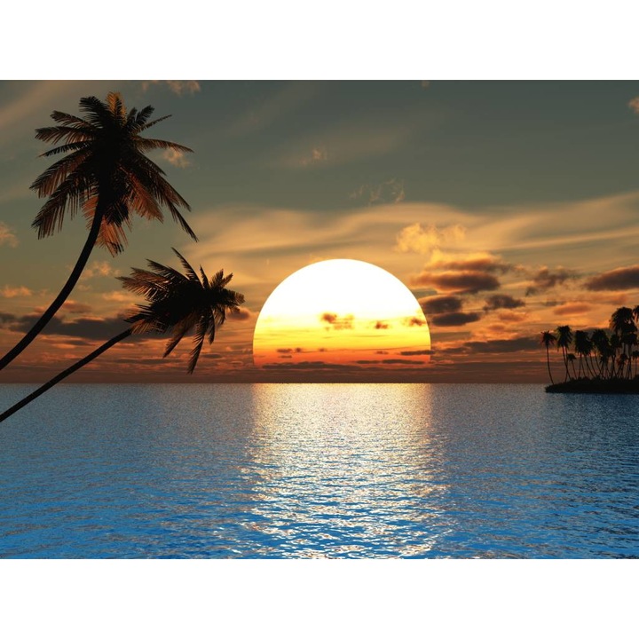 Öntapadó PVC tapéta - Sunset And Palm Trees, 100 x 150 cm