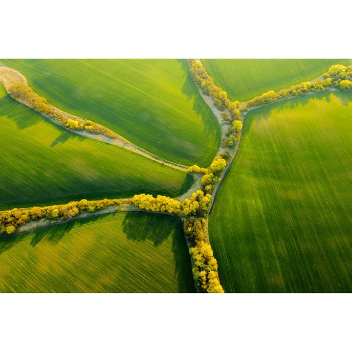 Öntapadó PVC tapéta - Campie Verde, 100 x 150 cm